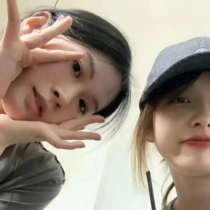 美声歌鸡